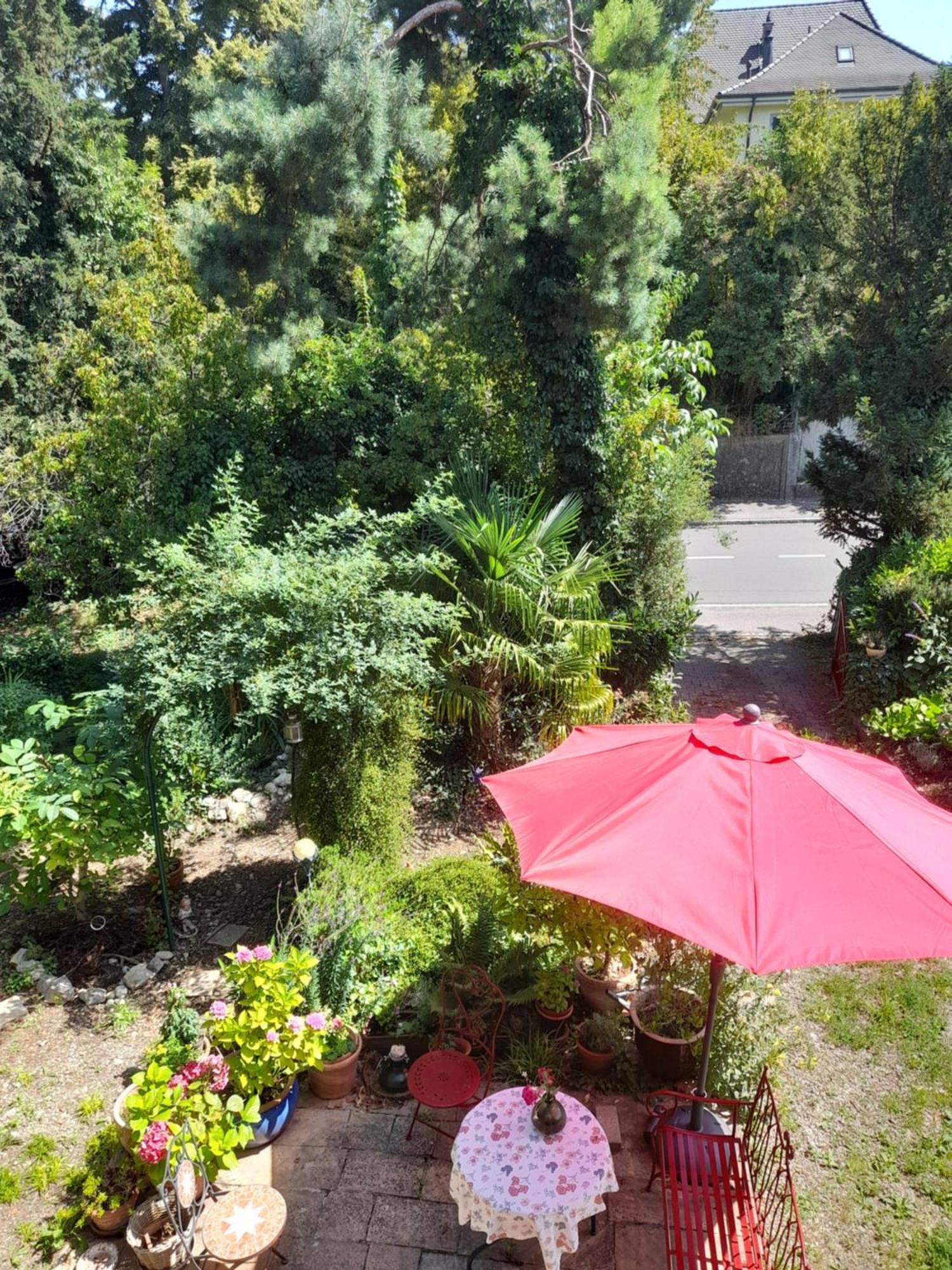 رينفلدن B&B Am Park المظهر الخارجي الصورة