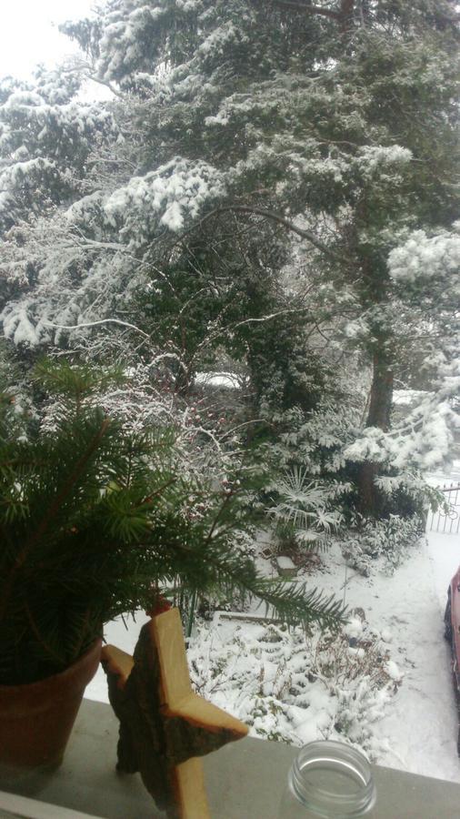 رينفلدن B&B Am Park المظهر الخارجي الصورة