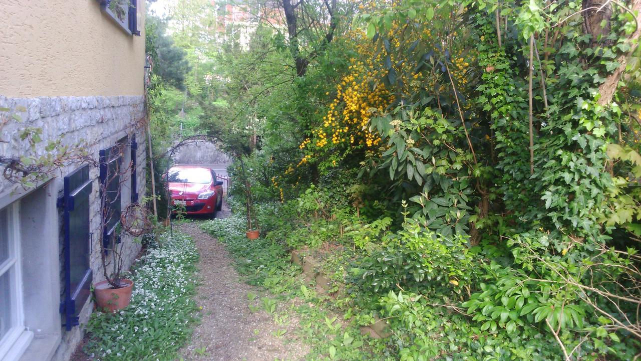 رينفلدن B&B Am Park المظهر الخارجي الصورة